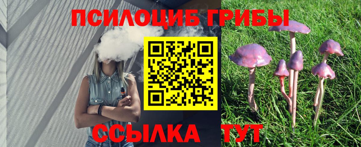 Усть-Джегута  Галлюциногенные грибы Cubensis  Вход с VPN 